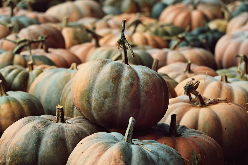 Fall Foliage